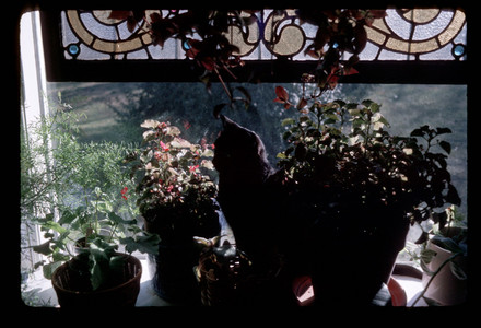 Slide934.jpg
